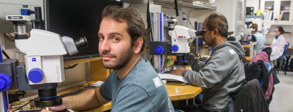 Docente do PPG Geoquímica publica novo artigo na Nature sobre mudanças climáticas 